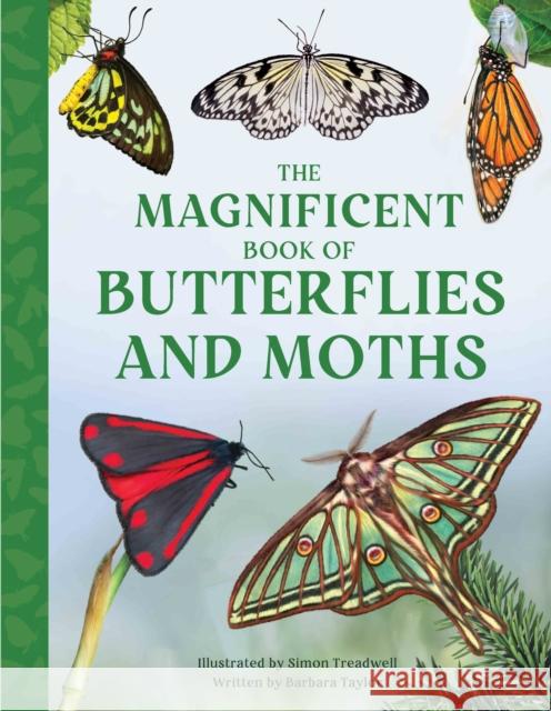 The Magnificent Book of Butterflies and Moths Barbara Taylor 9781915588425 Weldon Owen Children's Books