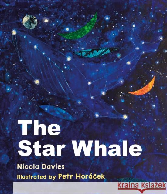 The Star Whale Nicola Davies 9781915659095 Otter-Barry Books Ltd