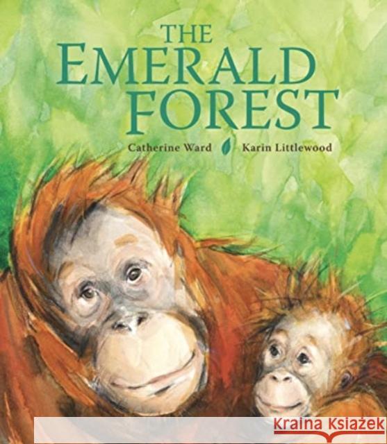 The Emerald Forest Catherine Ward 9781915659545 Otter-Barry Books Ltd