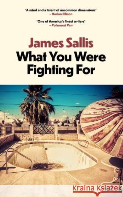 What You Were Fighting For James Sallis 9781915798503