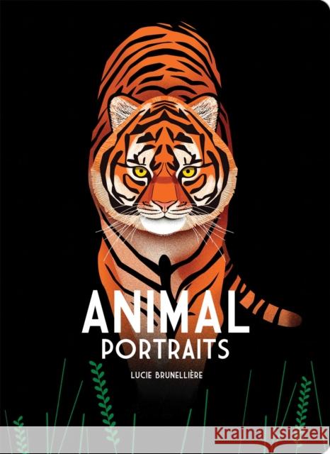 Animal Portraits Lucie Brunelliere 9781915801821 Boxer Books Limited