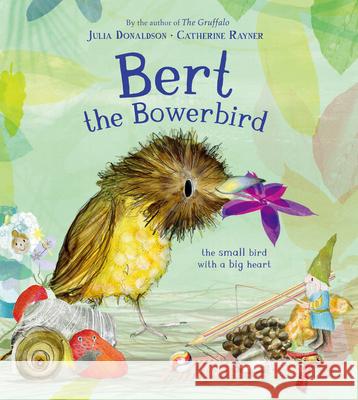 Bert, the Bowerbird: A Love Story Julia Donaldson Catherine Rayner 9781915801845 Boxer Books