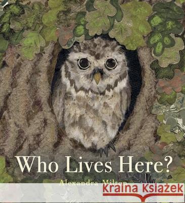 Who Lives Here? Alexandra Milton 9781915801869 Boxer Books