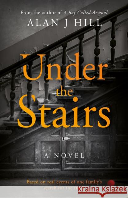 Under the Stairs Alan J Hill 9781915853721