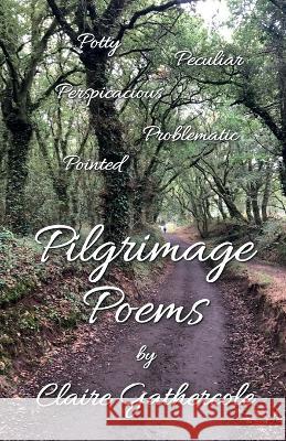 Pilgrimage Poems Claire Gathercole 9781915889119 Claire Gathercole
