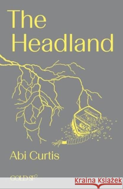 The Headland Abi Curtis 9781915983121 Goldsmiths, University of London