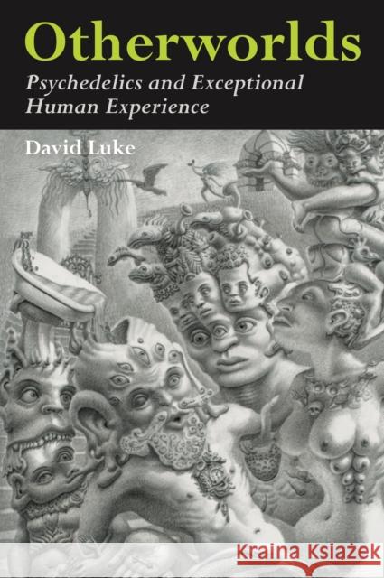 Otherworlds: Psychedelics and Exceptional Human Experience Luke, David 9781916068964