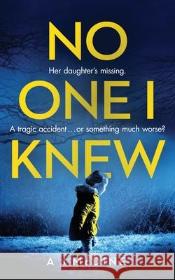 No One I Knew A. J. McDine 9781916129955 Cherry Tree Publishing