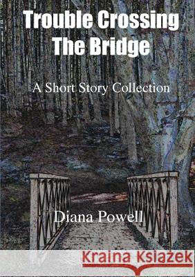 Trouble Crossing the Bridge Diana Powell 9781916154544 Blue Nib Publishing