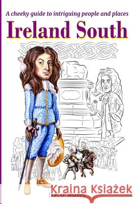 Ireland South: A cheeky Guide to intriguing people and notable places David P O' Malley 9781916156036 Fun Art Publishing