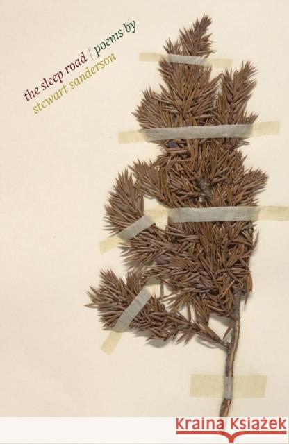 The Sleep Road Stewart Sanderson 9781916214859