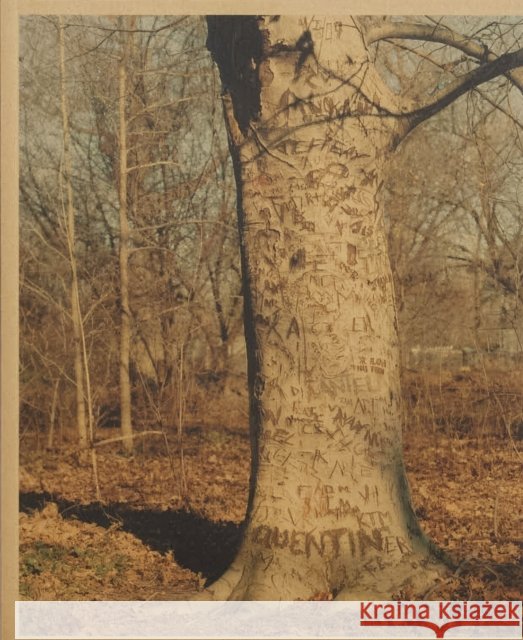 Common Place Scott Rossi 9781916225374