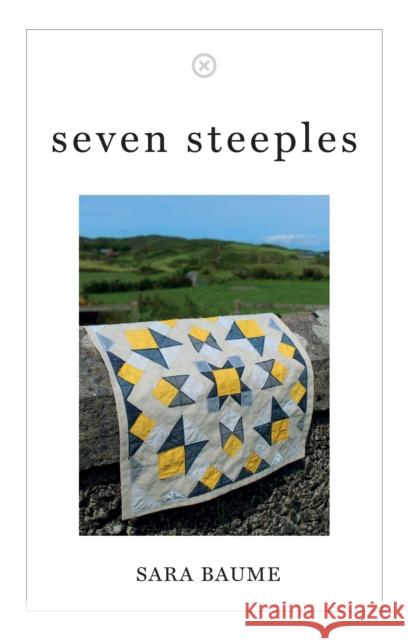 Seven Steeples Sara Baume 9781916291485