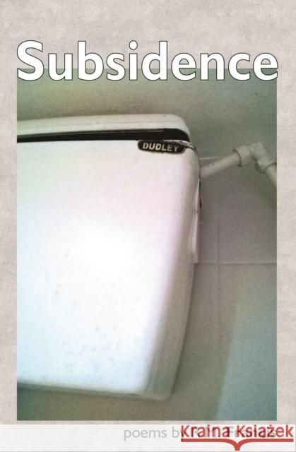 Subsidence  9781916312111 Smokestack Books