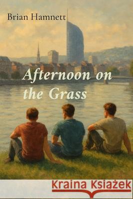 Afternoon on the Grass: Short stories Brian Hamnett 9781916352995