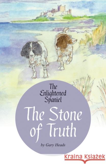 The Stone of Truth Gary Heads 9781916446861