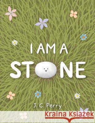I Am a Stone J C Perry, J C Perry 9781916464353 Four Geckos Publishers