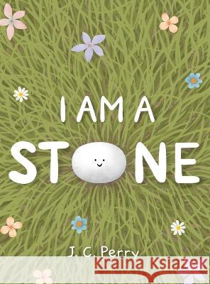 I Am a Stone J C Perry J C Perry  9781916464360 Four Geckos Publishers