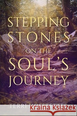 Stepping Stones on the Soul's Journey Terri Hofstetter 9781916529847