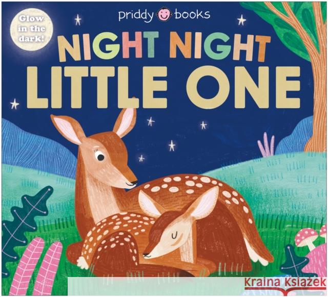 Night Night Little One (Night Night Books) Roger Priddy 9781916745308 Priddy Books