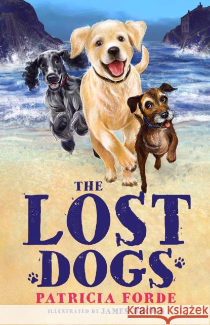 The Lost Dogs Patrica Forde 9781916747203