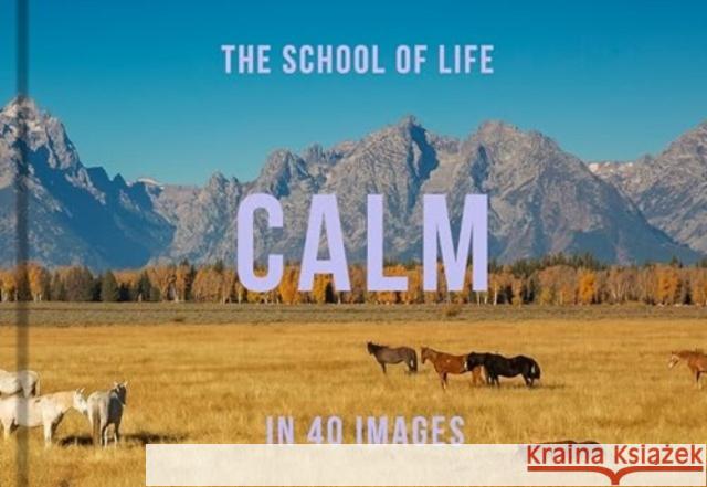 Calm in 40 Images: The art of finding serenity The School of Life 9781916753006 The School of Life Press