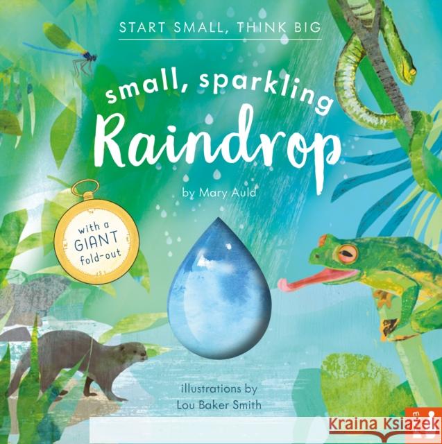 Small, Sparkling Raindrop: A fact-filled picture book about the water cycle with a large fold-out (ages 4-8) Mary Auld 9781916780101 Mama Makes Books