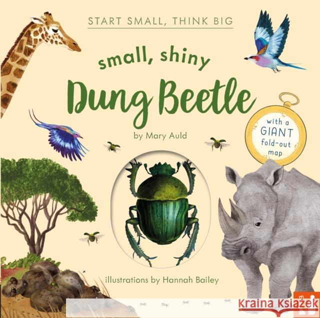 Small, Shiny Dung Beetle: A fact-filled picture book about the life cycle of dung beetles with a large fold-out map (ages 4 to 8) Mary Auld 9781916780149 Mama Makes Books