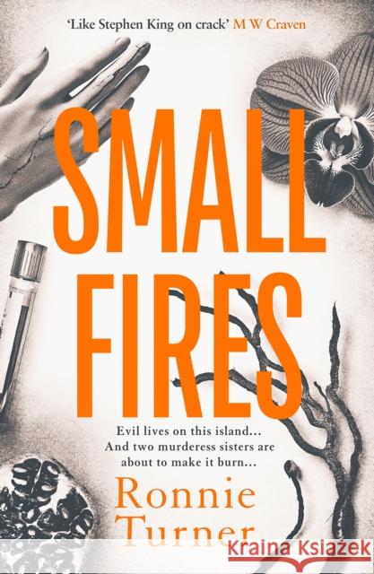 Small Fires: This year's most unsettling, hypnotic contemporary gothic thriller Ronnie Turner 9781916788473 Orenda Books