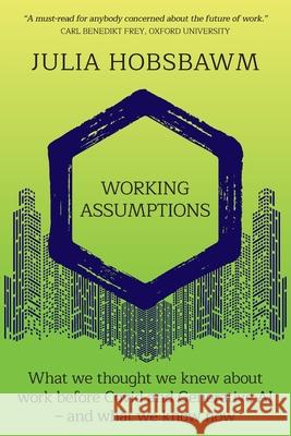 Working Assumptions: What We Thought We Knew About Work Before Covid and Generative AI - And What We Know Now Julia Hobsbawm 9781916797277