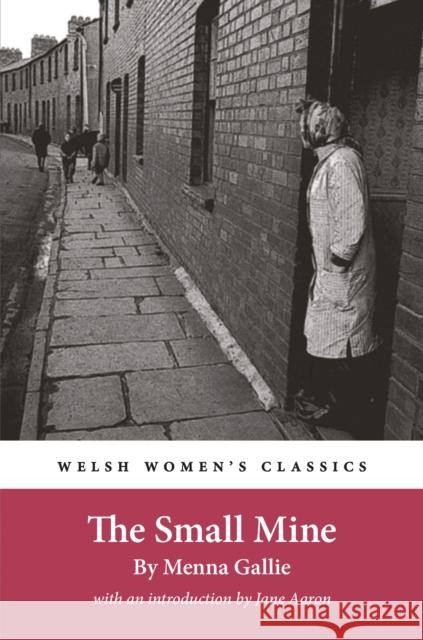 The Small Mine Menna Gallie 9781916821163