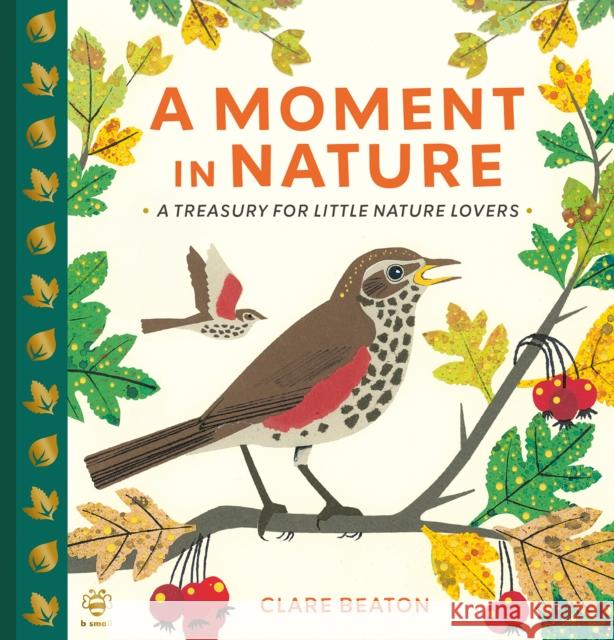 A Moment in Nature: A Treasury for Little Nature Lovers Clare Beaton 9781916851191 b small publishing limited