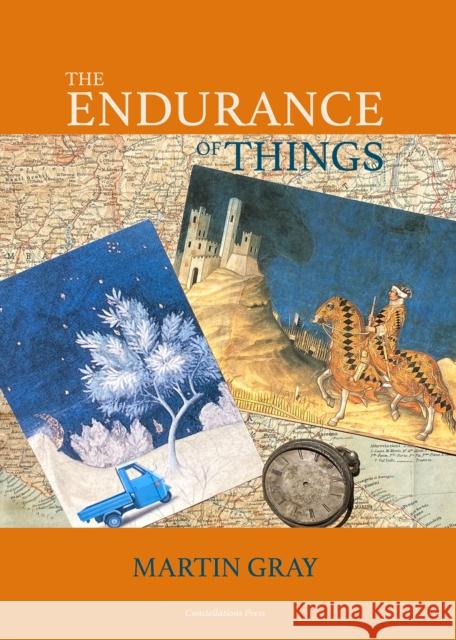 The Endurance of Things Martin Gray 9781917000062 Constellations Press