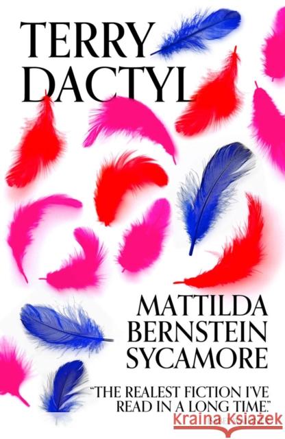 Terry Dactyl Mattilda Bernstein Sycamore 9781917008150 Cipher Press