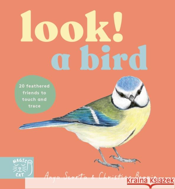 Look! A Bird! Anya Serota 9781917044622