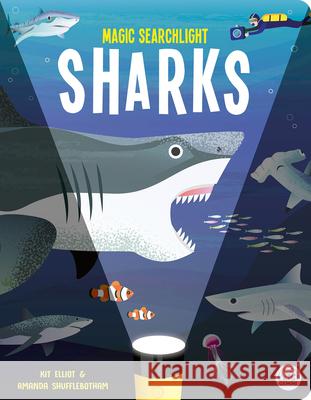 Magic Searchlight - Sharks Kit Elliot Amanda Shufflebotham 9781917082235 Gemini Children's