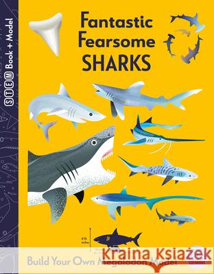 Fantastic Fearsome Sharks Kit Elliot Amanda Shufflebotham 9781917082273 Gemini Children's