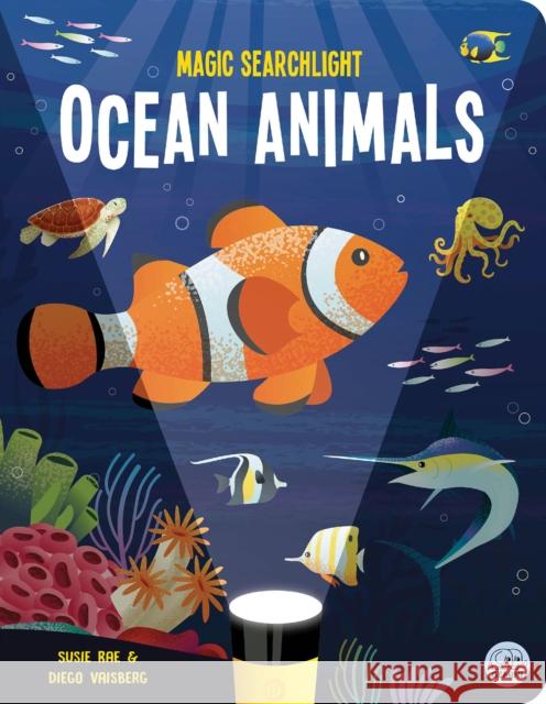 Magic Searchlight - Ocean Animals Susie Rae 9781917082464