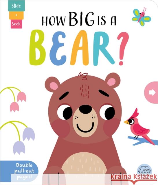 How Big is a Bear? Lisa Regan 9781917082587