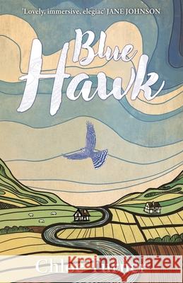 Blue Hawk Chloe Turner 9781917090056 Deixis Press