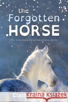 The Forgotten Horse - Dyslexia Friendly Elaine Heney 9781917234177 Grey Pony Films