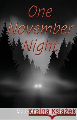 One November Night Madeleine Grainger 9781917293556