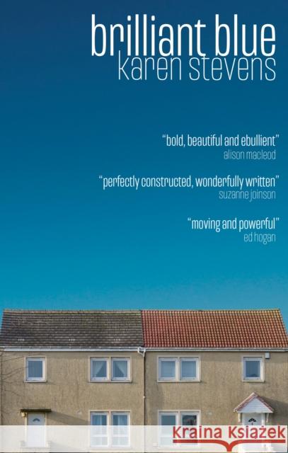 Brilliant Blue Karen Stevens 9781917352055