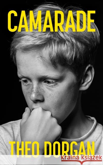 Camarade Theo Dorgan 9781917453196 Mercier Press