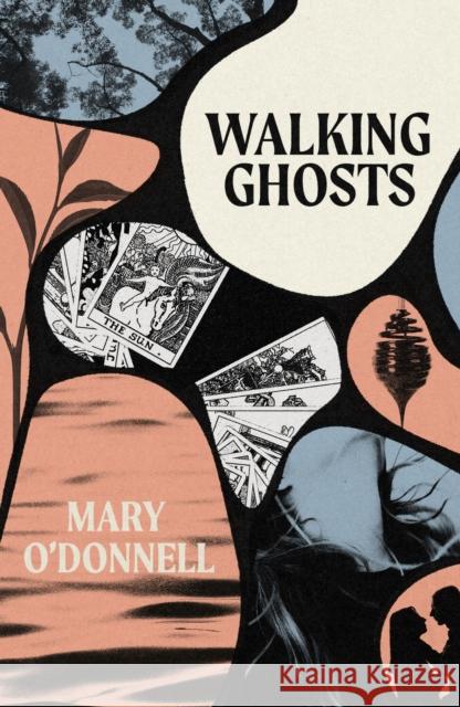 Walking Ghosts: Short Stories Mary O'Donnell 9781917453226