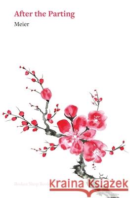 After the Parting Meier 9781917617161 Broken Sleep Books