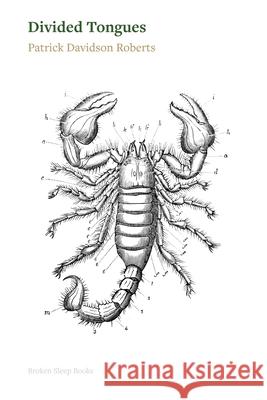 Divided Tongues Patrick Davidson Roberts 9781917617499