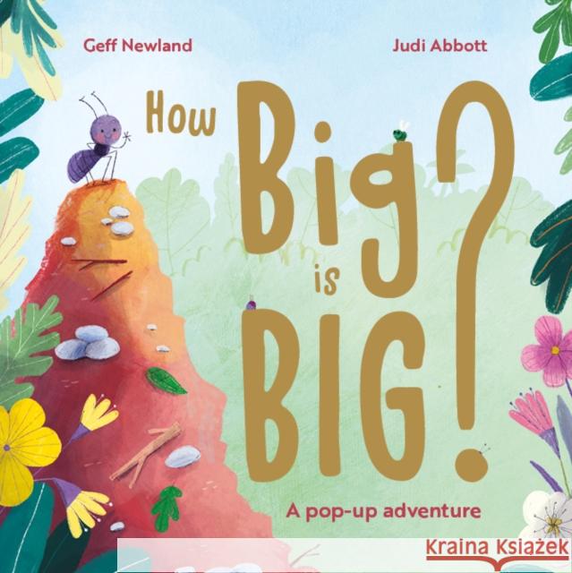 How Big is Big? Geff Newland 9781918030013