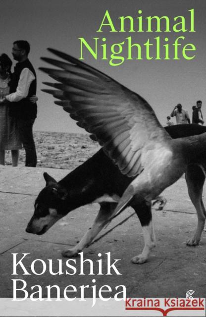 Animal Nightlife Koushik Banerjea 9781919184722