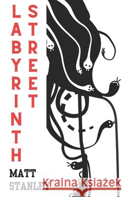 Labyrinth Street Matt Stanley Stanley 9781919200811